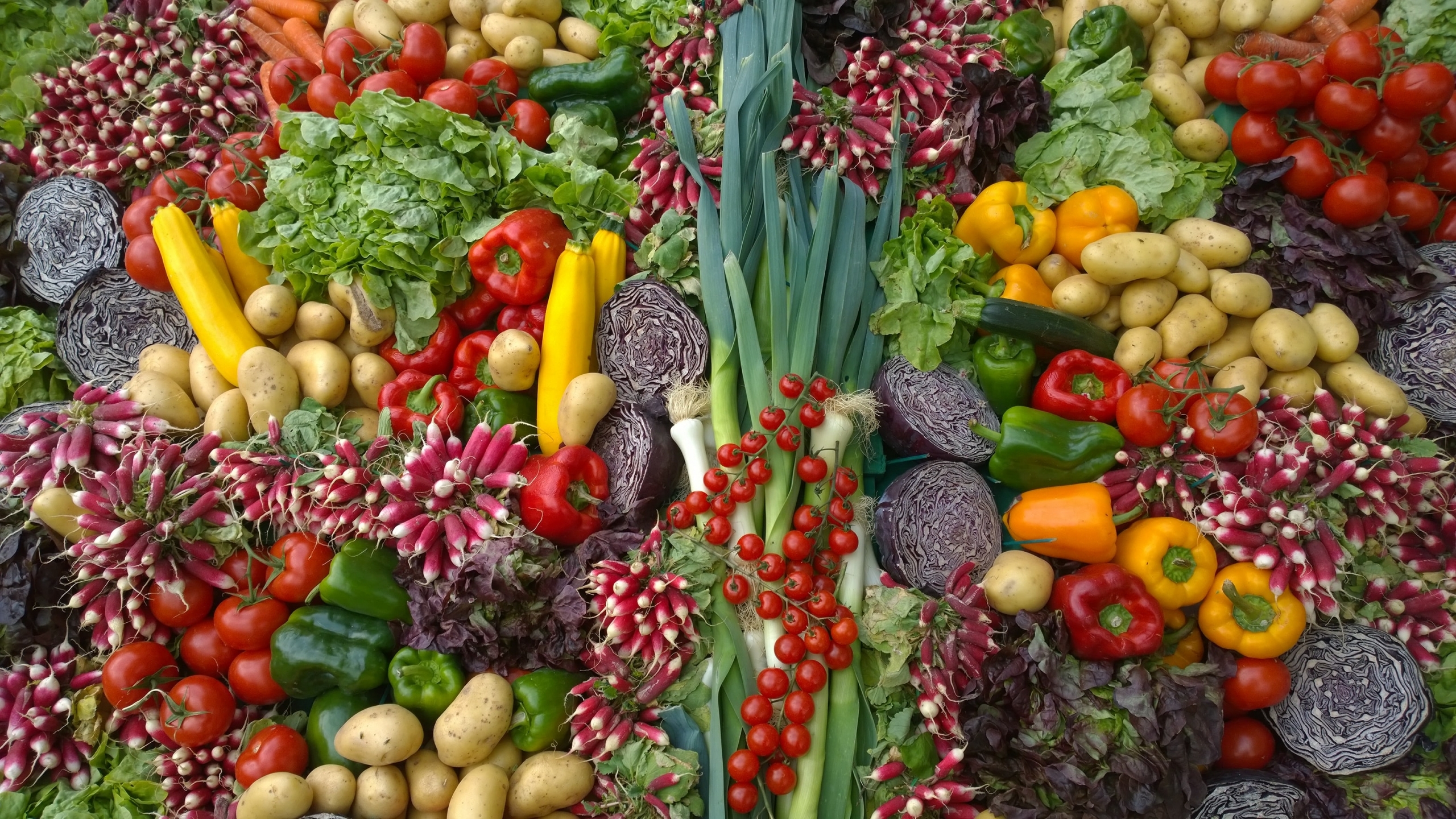 Whole Food Plant-Based Diet