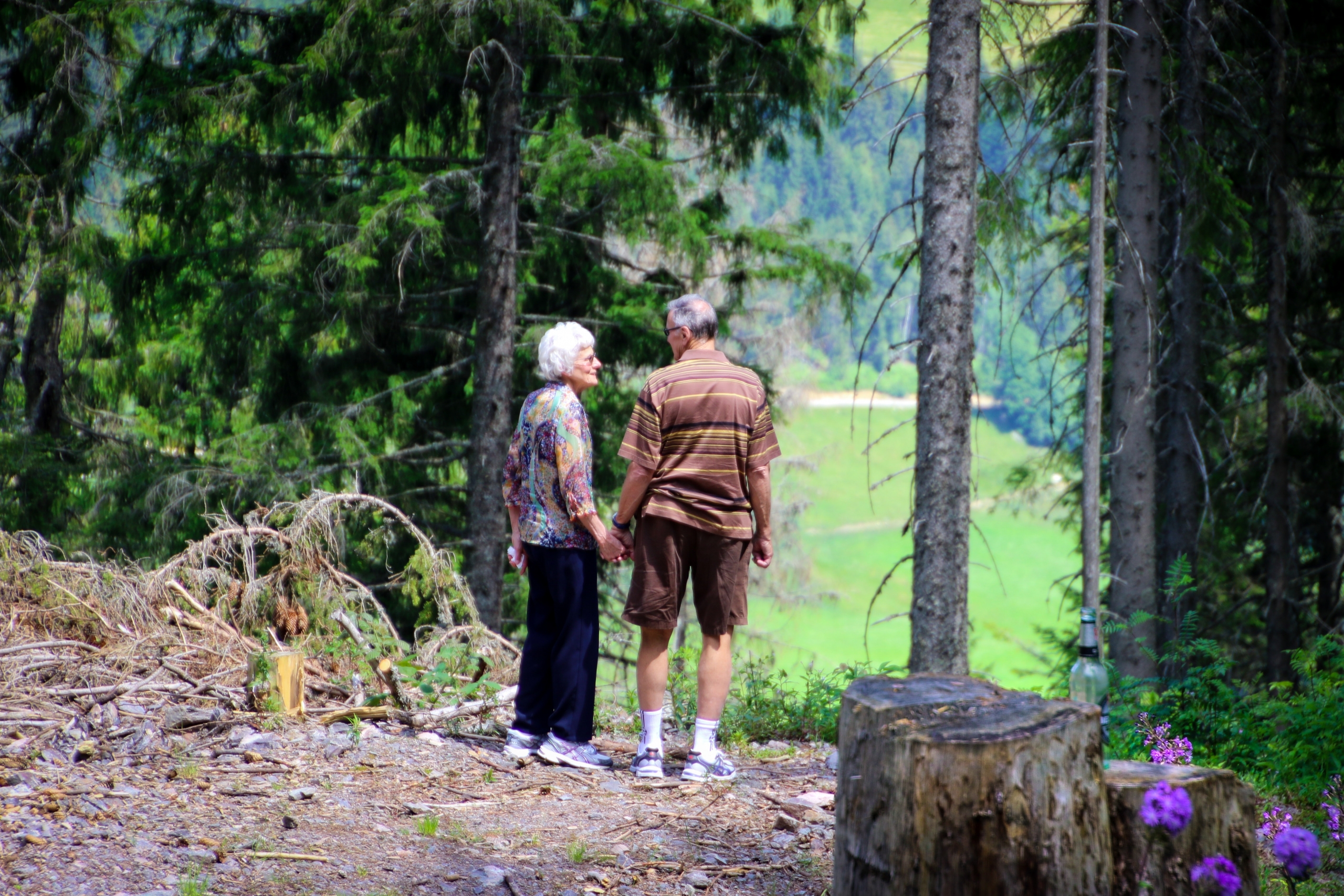 A One-Hour Walk in Nature Decreases Activity in the Stress-Related Regions of the Brain