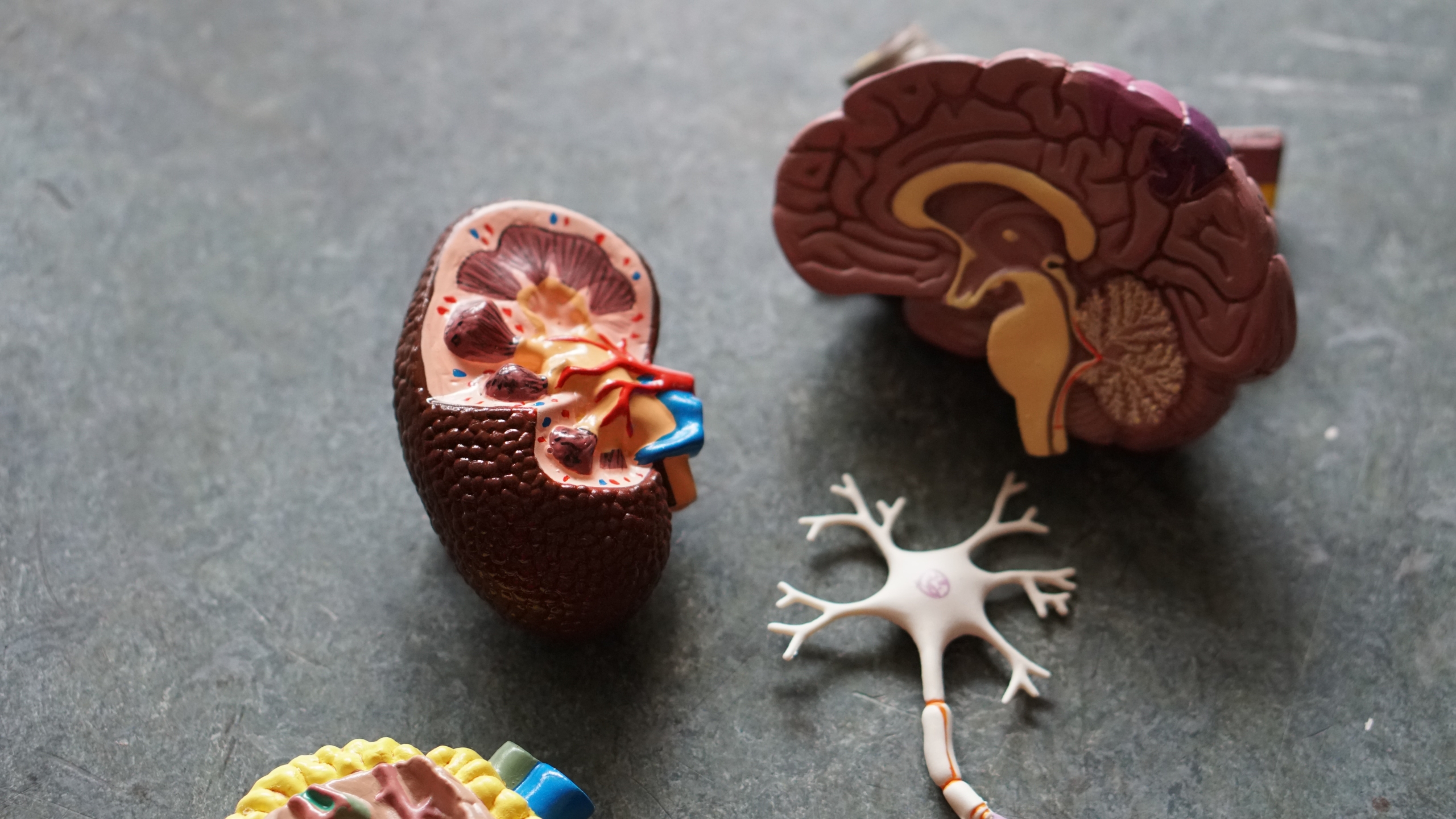 Unveiling the Impact of Lifestyle Factors on Mental Health