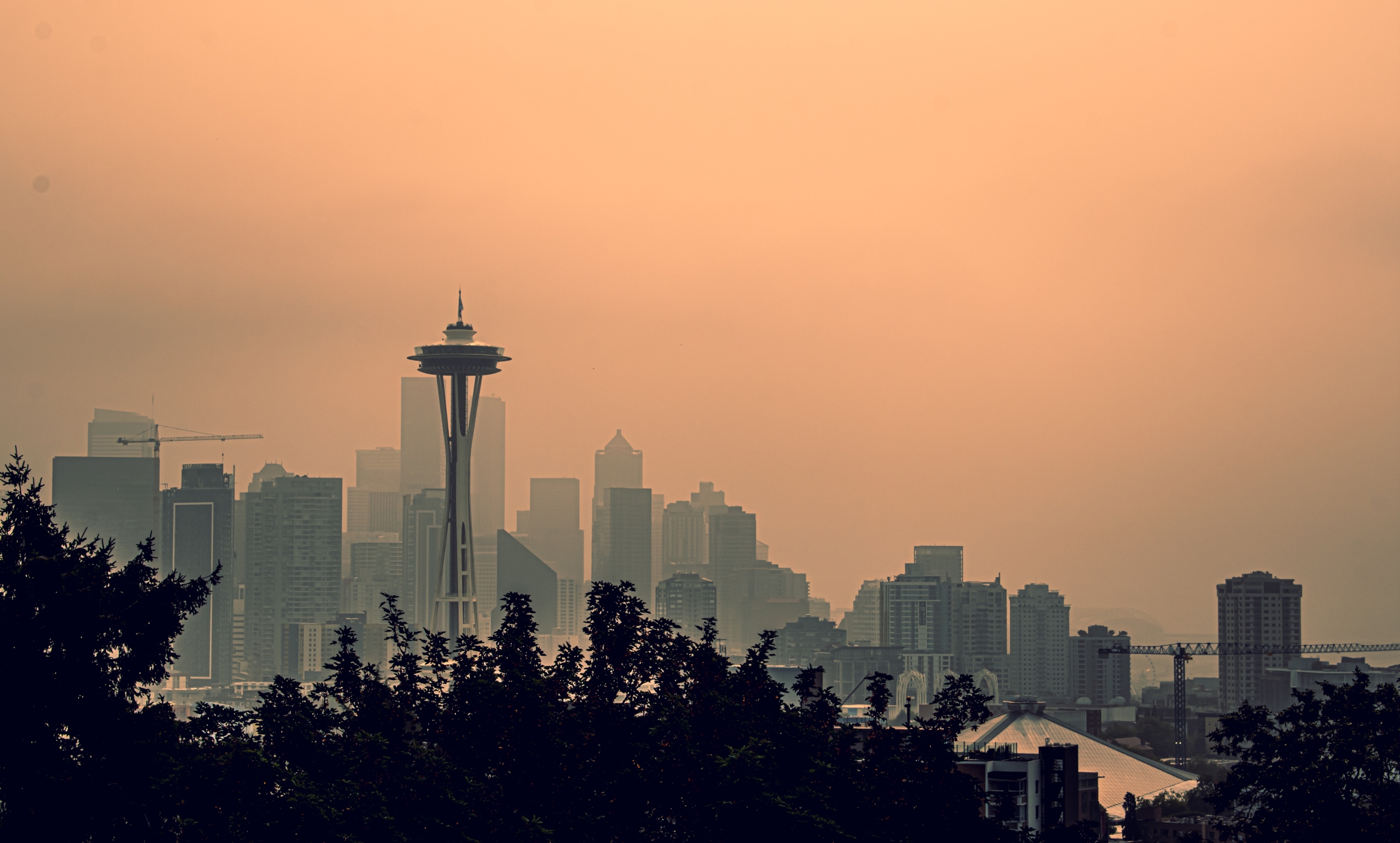 Should I exercise outside when the air is smoky from wildfire? – San Francisco Chronicle