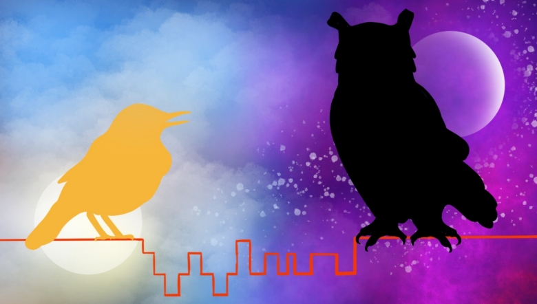 Night owl behavior could hurt mental health, sleep study finds – Stanford Medicine