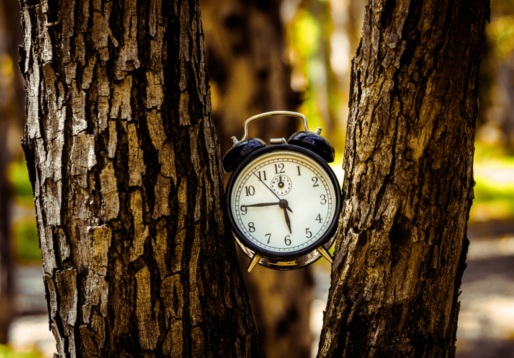 CNI-X Mini-Series: Circadian Rhythms, with Dr. Jamie Zeitzer – Stanford Medicine CNI-X Mini-Series: Circadian Rhythms, with Dr. Jamie Zeitzer – Stanford Medicine
