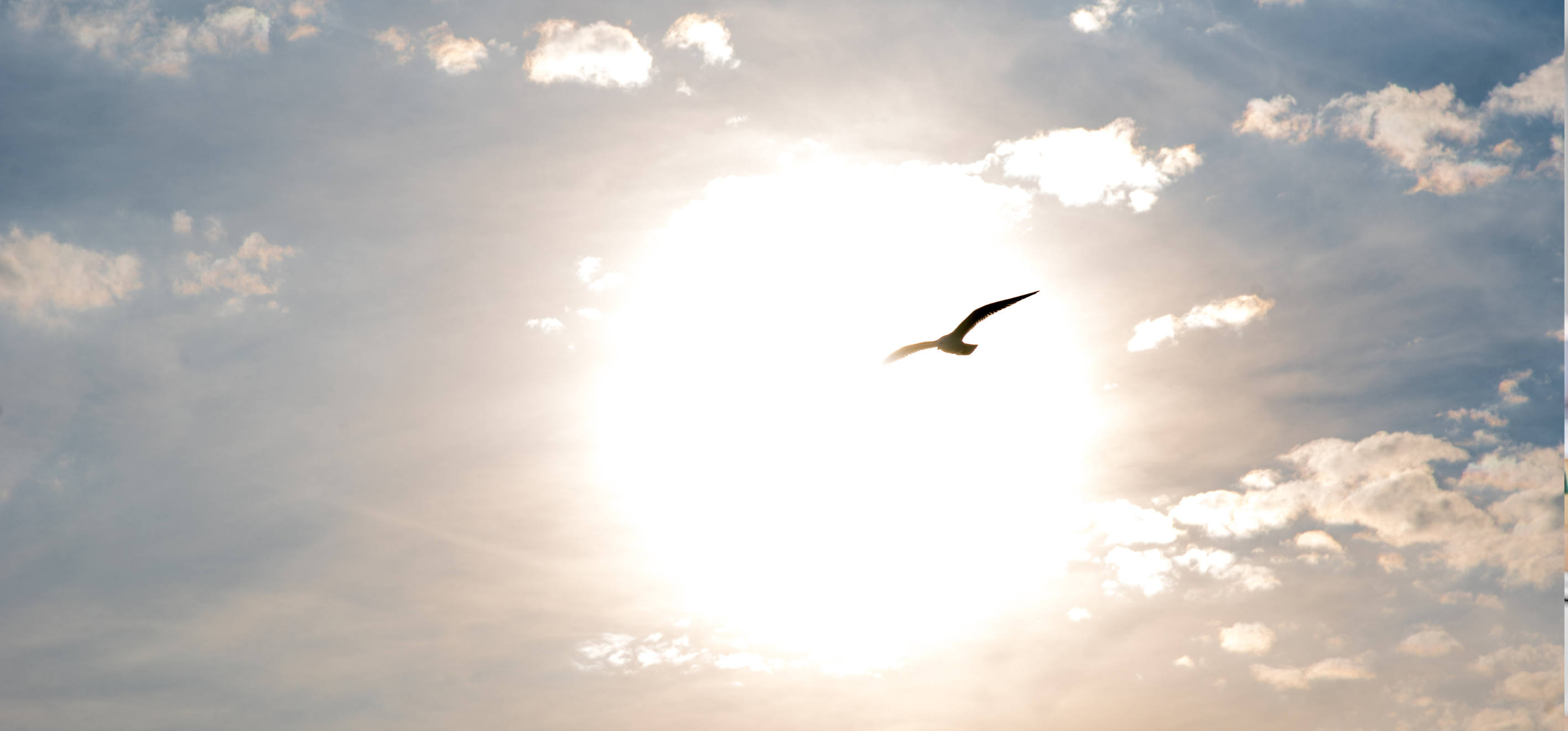 What Does it Mean to be Spiritual but Not Religious?
