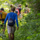 Group of hikers walk through wooded trail