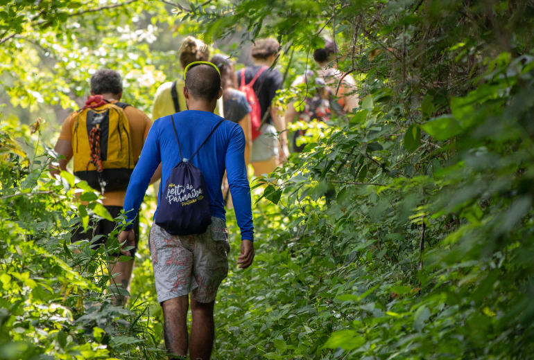 Group of hikers walk through wooded trail