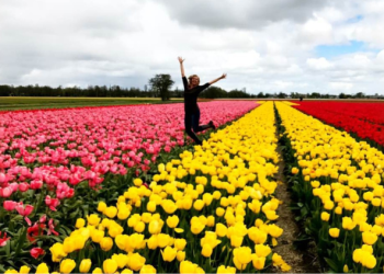 woman jumping in tulips