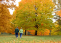 couple walking in a park