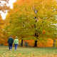 couple walking in a park