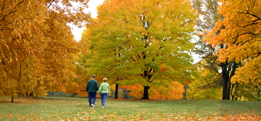 couple walking in a park