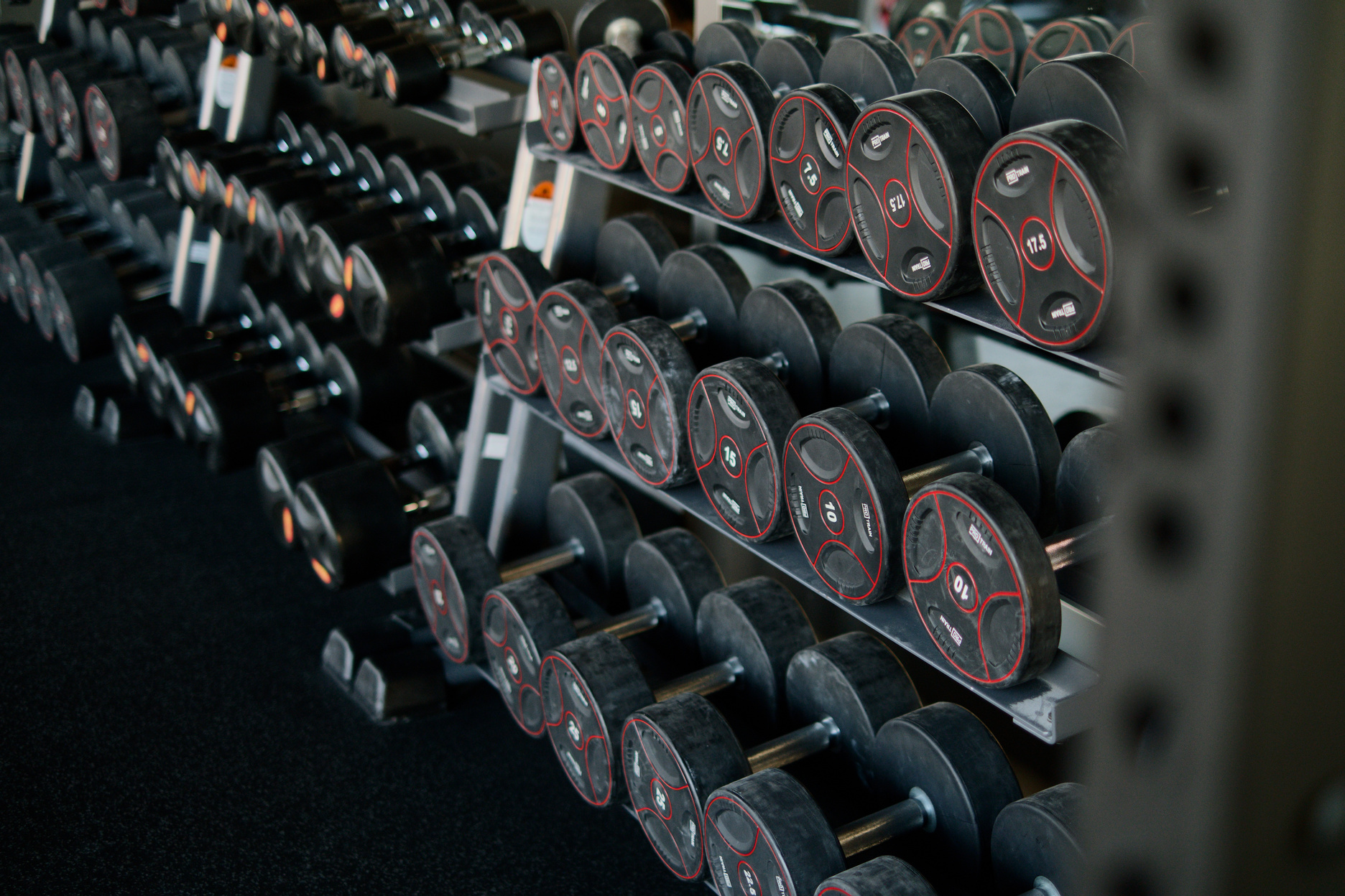 Why Even Small Amounts of Movement Can Transform Your Health