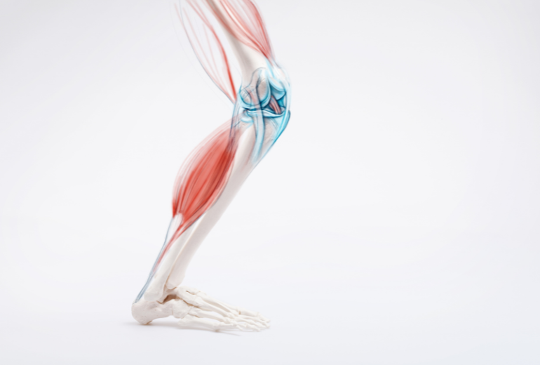 The Science of Healthy Aging: Muscle, Bone & Lifestyle Medicine